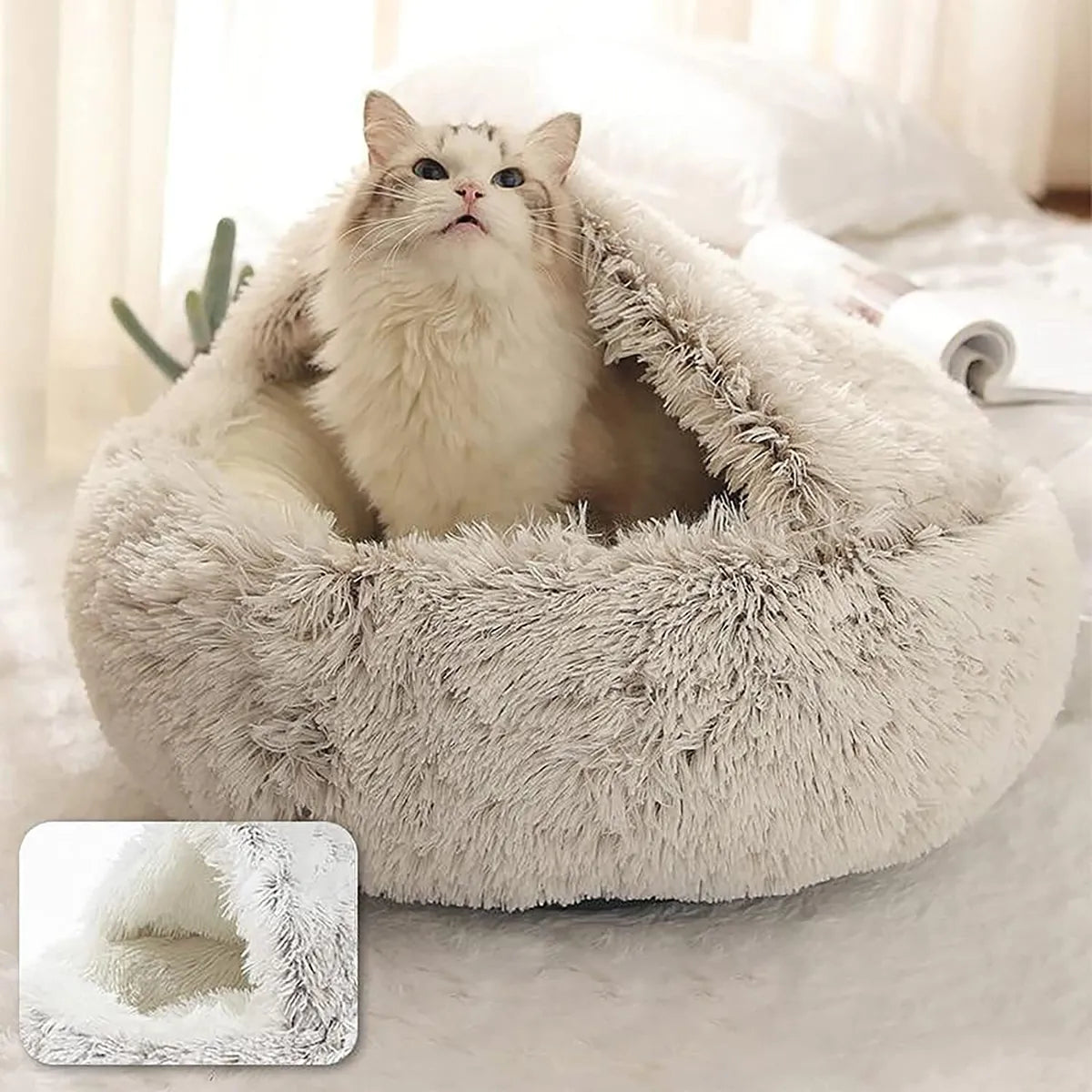 IGNITE™  - THE PREMIUM PET BED